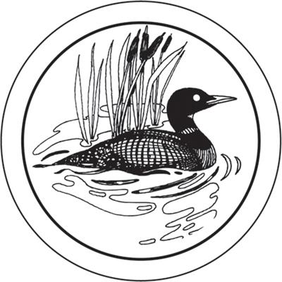 Minnesota Loon Clipart