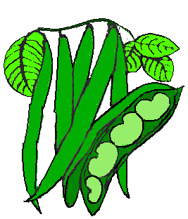 Green Bean Clip Art - Tumundografico