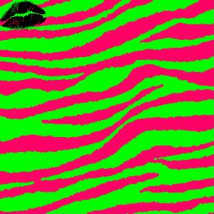 1000+ images about zebra print