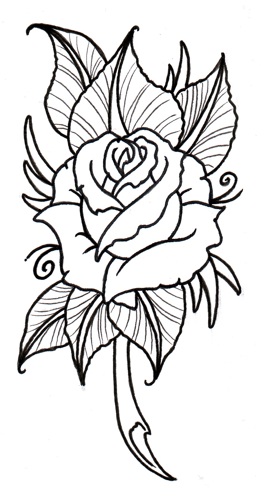 Best Photos of Rose Outline Stencil - Rose Drawing Tattoo Stencil ...