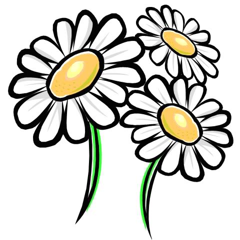 Daisies - karlaslayouts