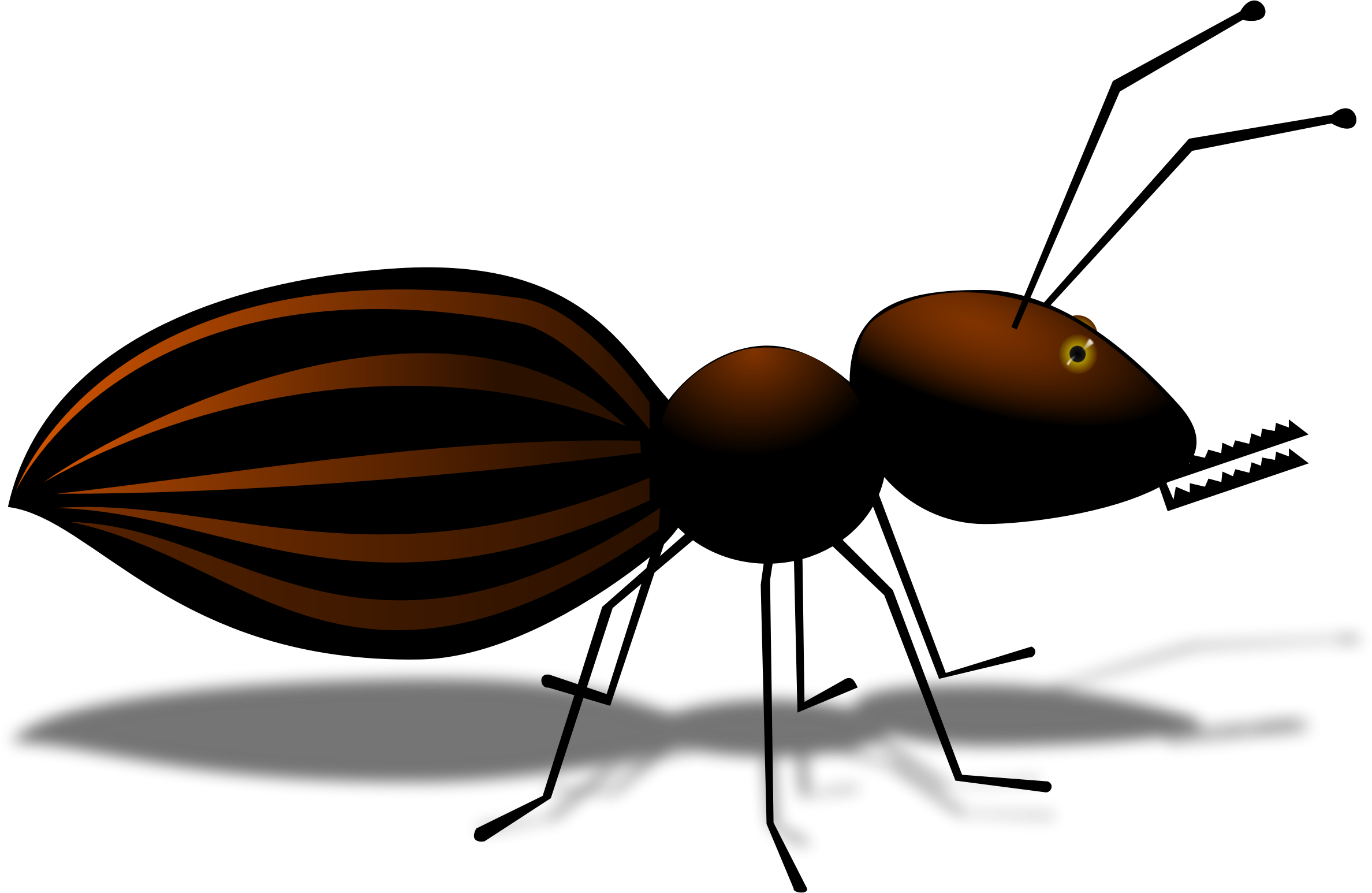 Cartoon Ant Clipart
