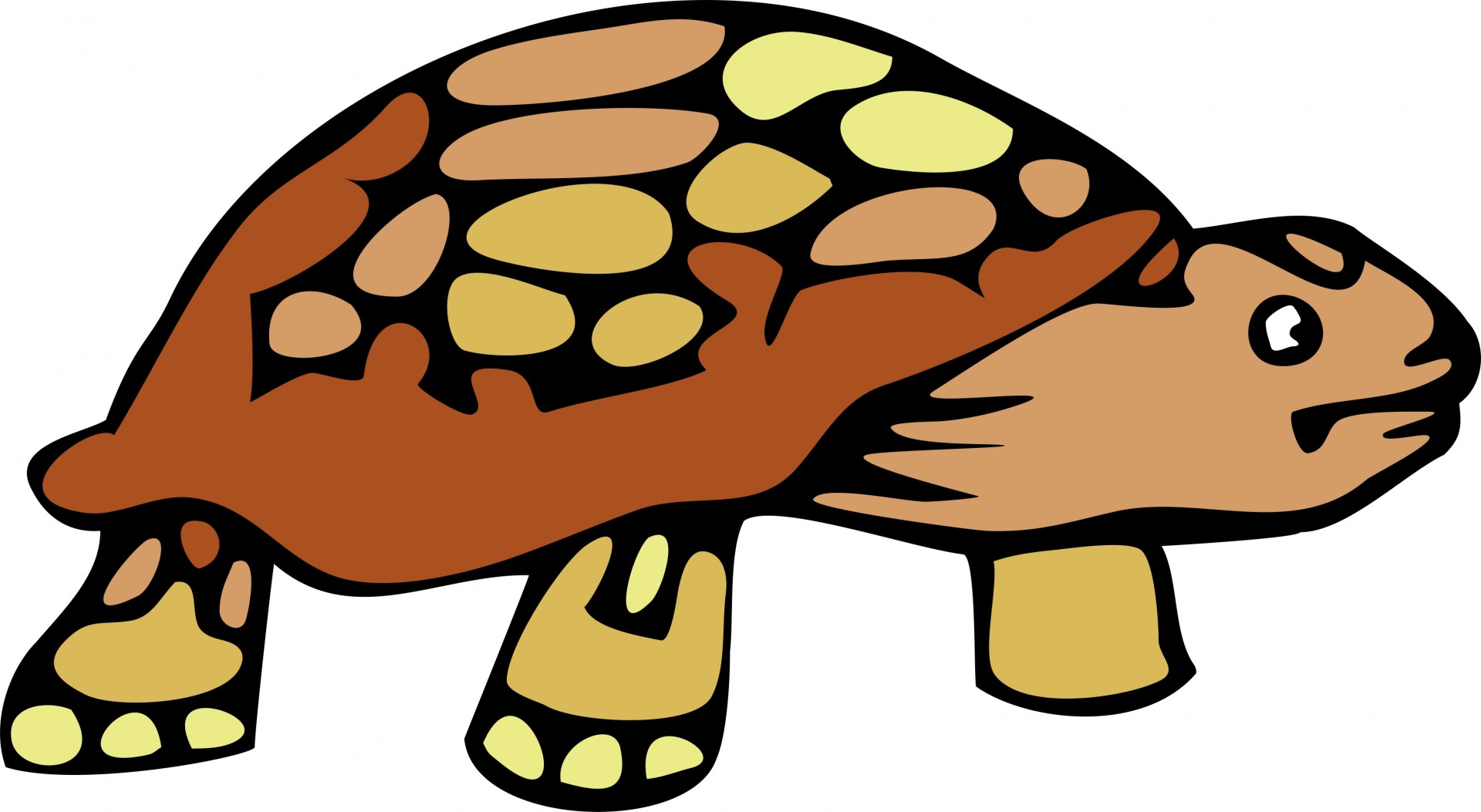 Cartoon Tortoise Clipart Free Stock Photo - Public Domain Pictures