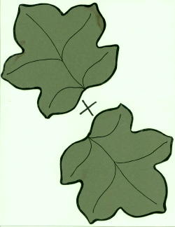 Pumpkin Leaf Printable Clipart