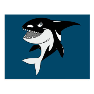 Killer Whale Cartoon Postcards | Zazzle