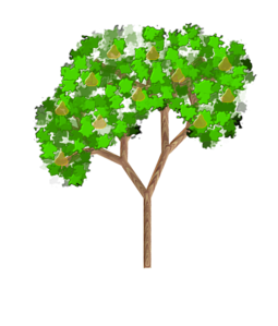 Pear Tree Clip Art | High Quality Clip Art