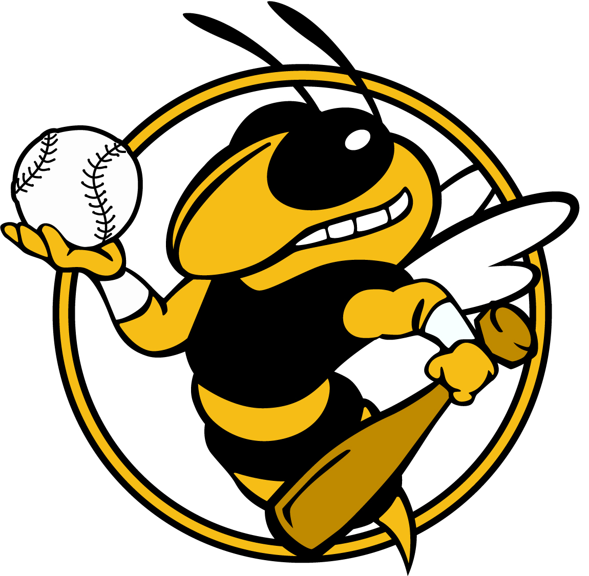 1000+ images about Yellow Jackets | College football ...
