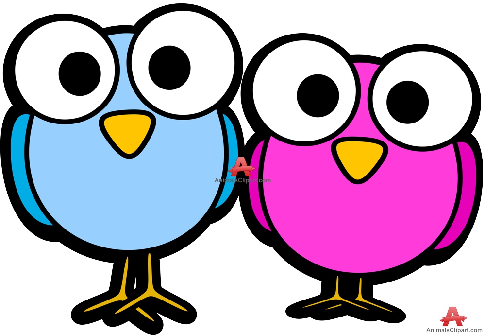 Cute Birds Cartoon | Free Clipart Design Download