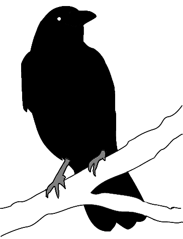 Drawings by David "Novalis" Turner