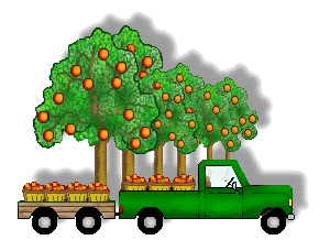 Orange Orchard Clip Art - Green Trucks and Wagons With Oranges ...