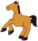 Adopt an animal 2 - Horses - Animals