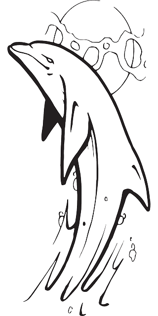 Jumping Dolphin Outline - Free Clipart Images