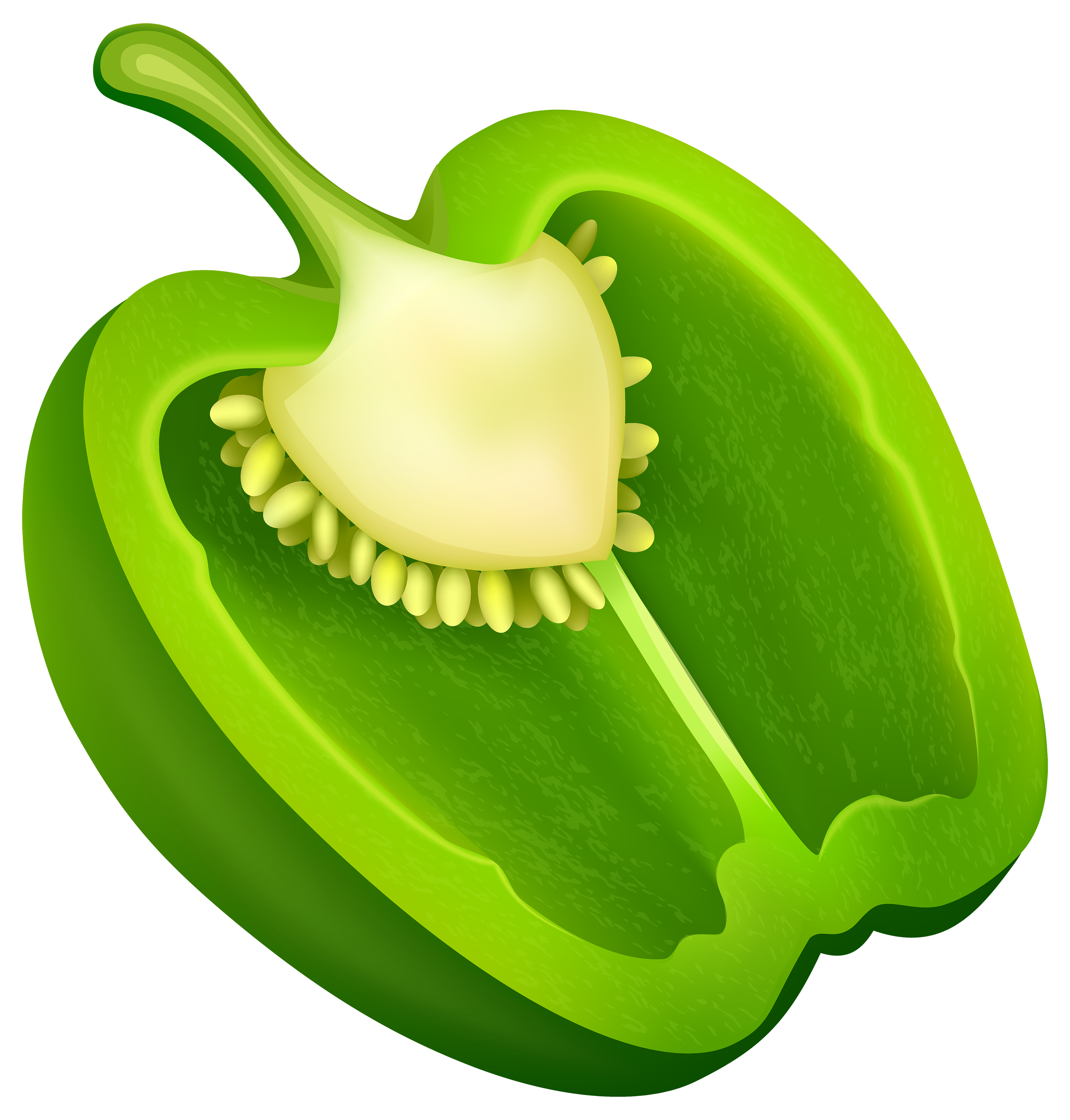 Green pepper clipart