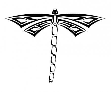 Tribal Dragonfly Tattoo Sample - Photos, Pictures and Sketches ...
