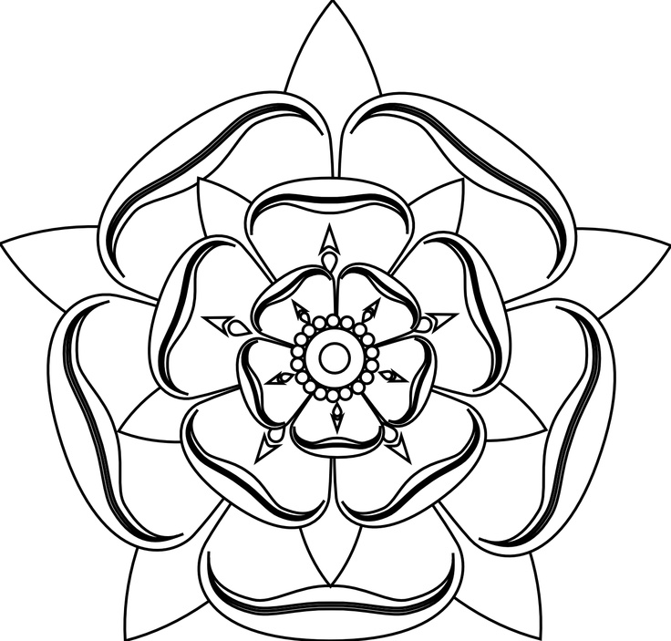 Rose Line Drawing