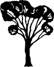 Mega Collection | Trees and Leaves - Lisa Cowden (Vector Art ...