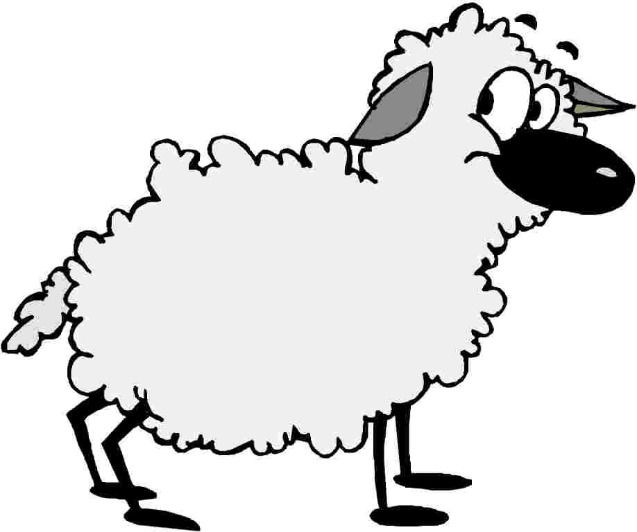 Sheep Clip Art