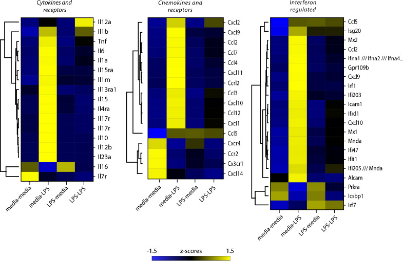 A genome-wide analysis of LPS tolerance in macrophages
