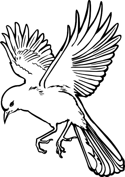 Bluebirds and Bluejays