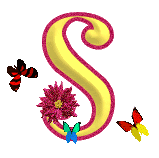 Spanish music... | SpanishDict Answers