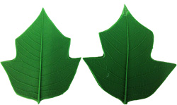 Silicone Leaf Patterns for Clay