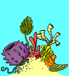Chad's Reef - Funny cartoon coral reef with animated fish and ...
