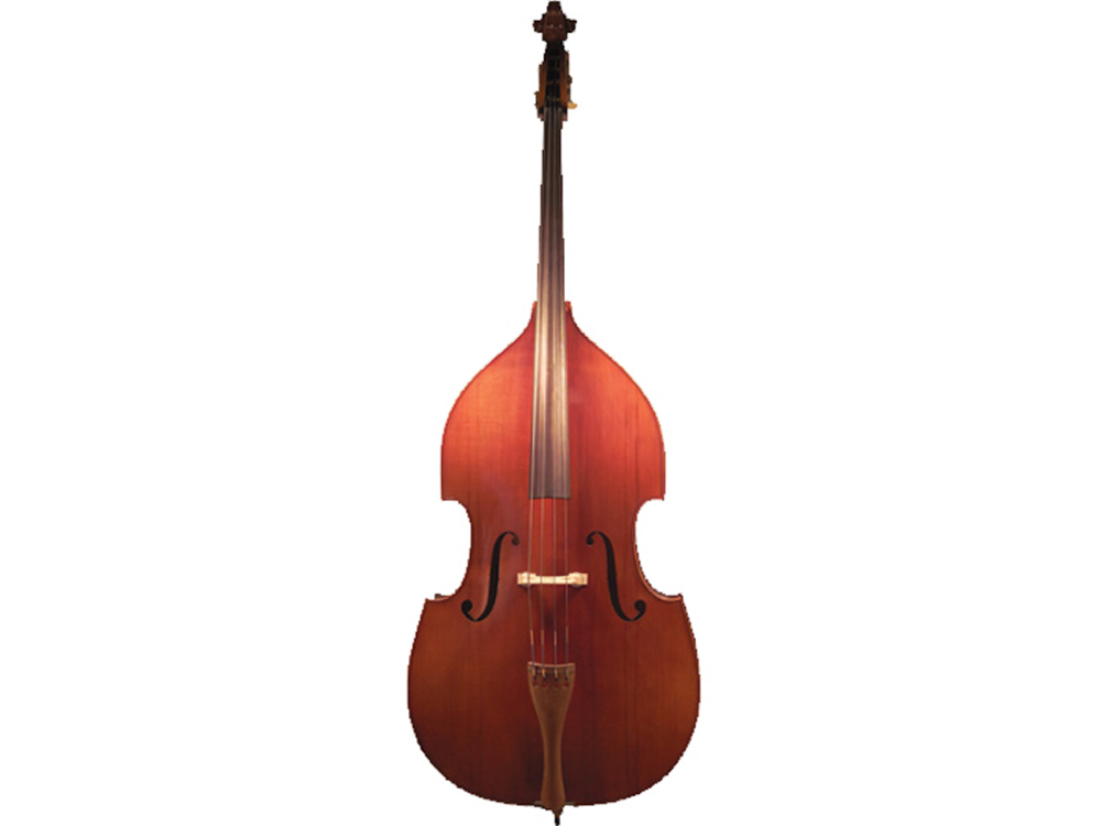 Westbury Double Bass (Gamba Pattern) | IMMS Ltd t/a Music Corner