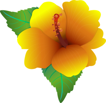 Hibiscus T-Shirt Designs | Wordans Canada