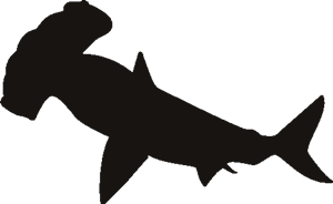 Shark Stencil Printable - ClipArt Best
