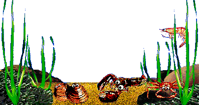 Animated Fishing Gifs Page 1