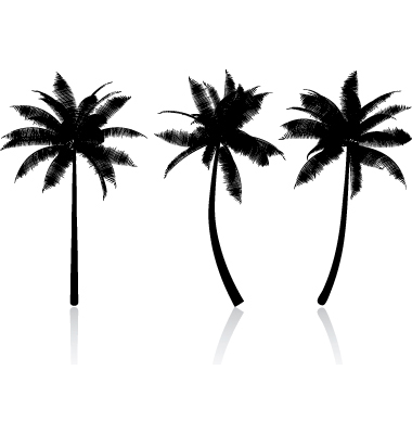 Vector Palm Tree
