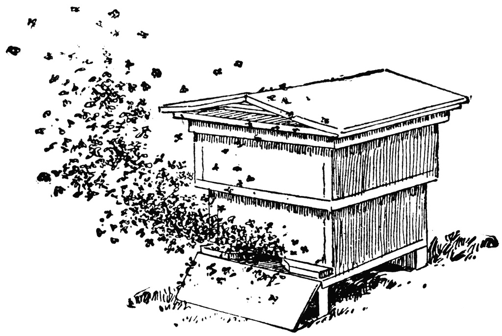 Beehive