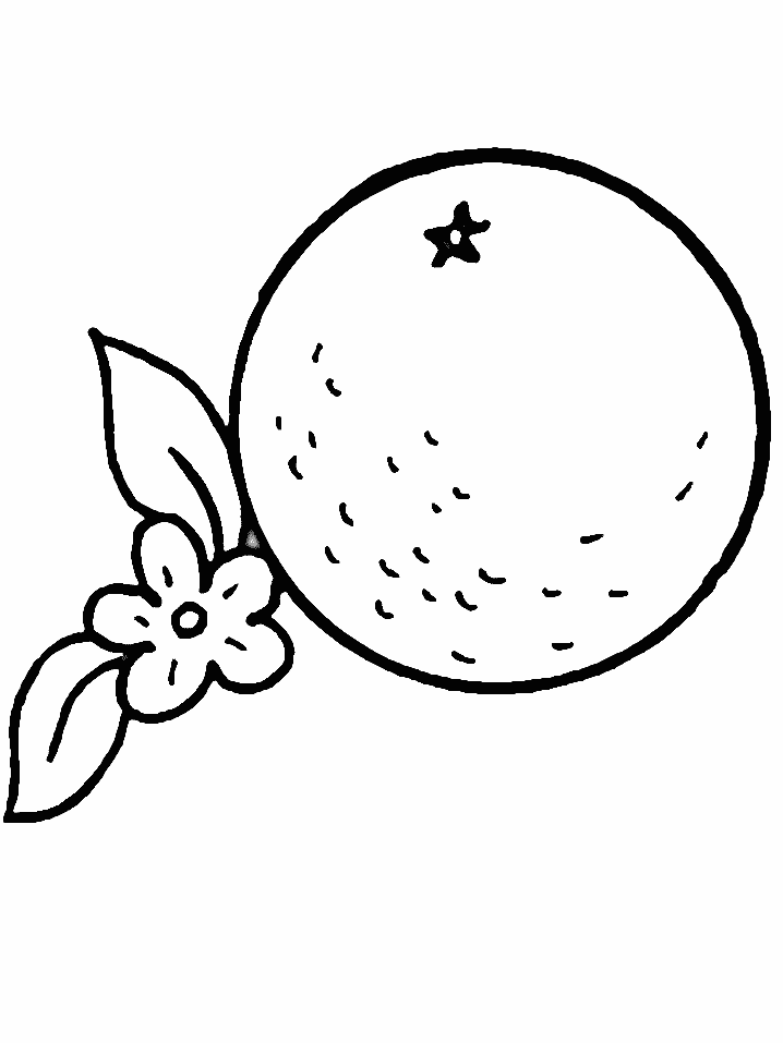 Photo Fruit Orange - AZ Coloriage