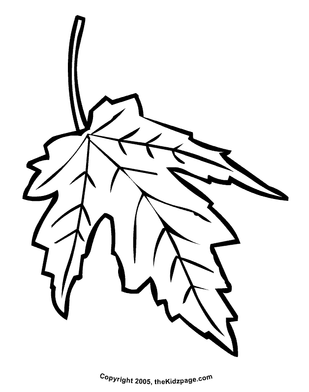 Maple Leaf Coloring Pages - AZ Coloring Pages
