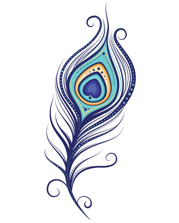 Peacock Drawing | Art, Peacock Art ...