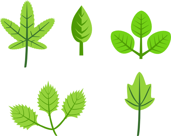 Leaves Tree Vines Branches clip art Free Vector