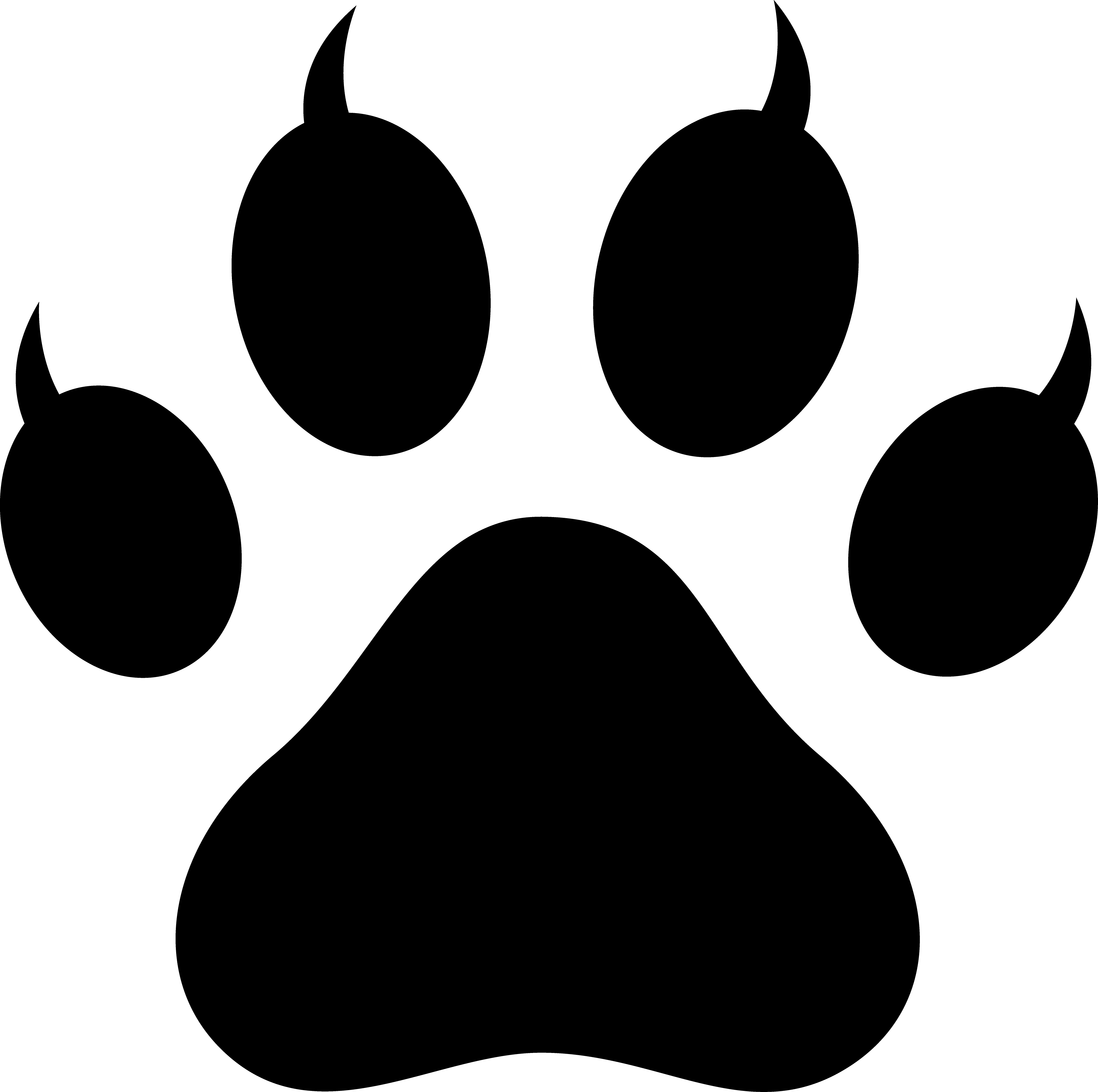 Cat Paw Print Png