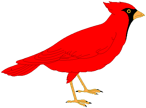 Red cardinal bird clip art