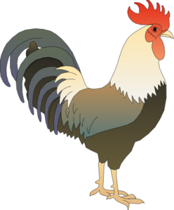 Little Chicken clip art free vector