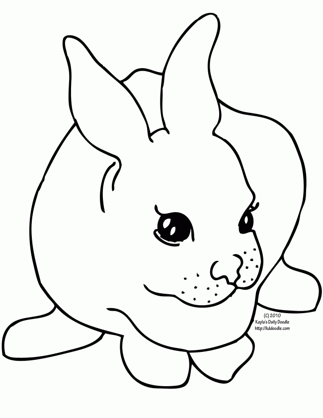 Bunny Rabbit Images - AZ Coloring Pages