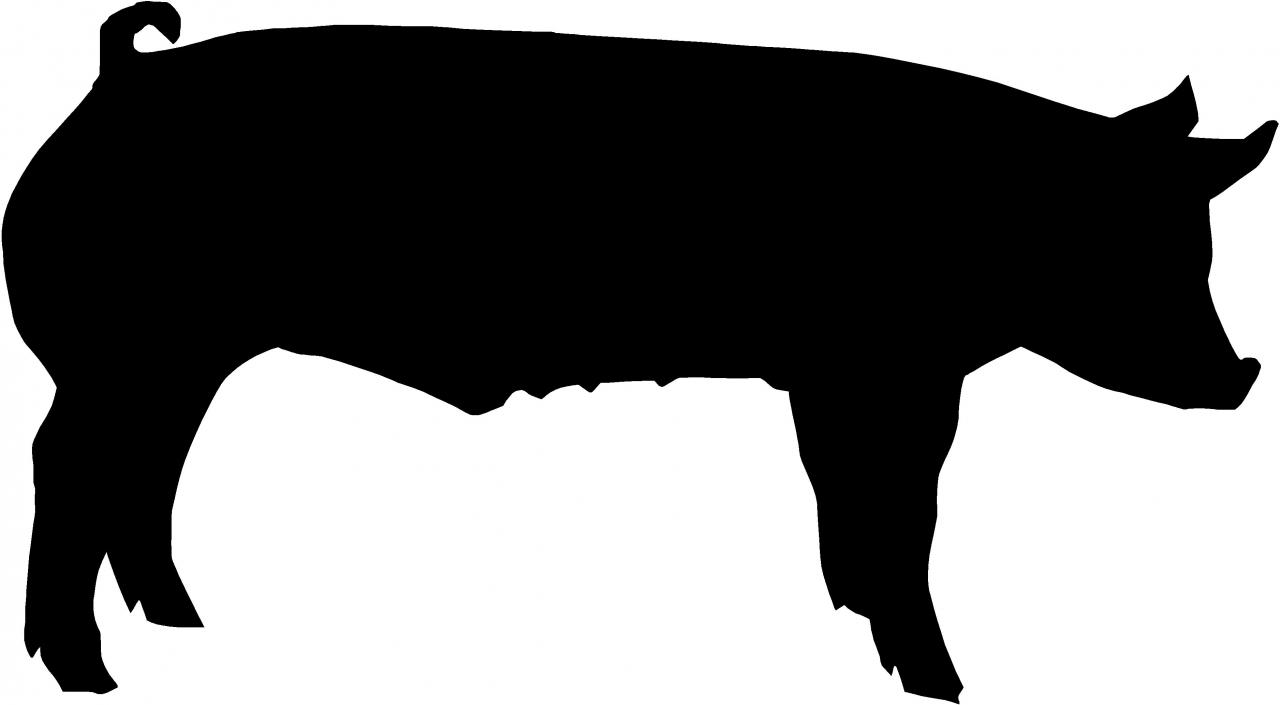 Show Pig Silhouette