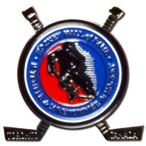 HHOF Crossed Sticks Lapel Pin - The Official Online Store of the ...