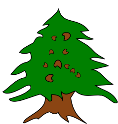 Ceder Tree Outline clip art free vector