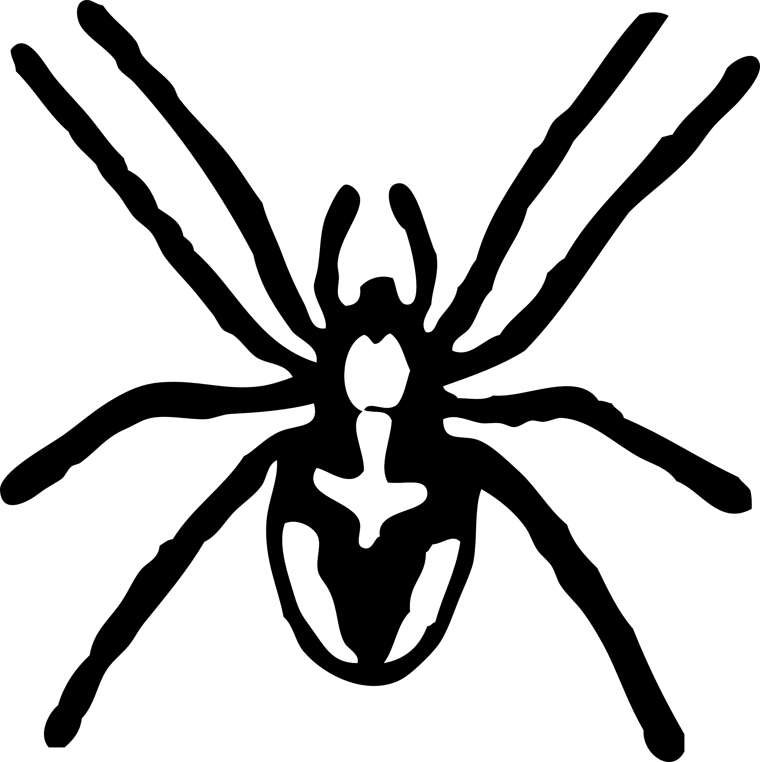 spider black white line art coloring book ...