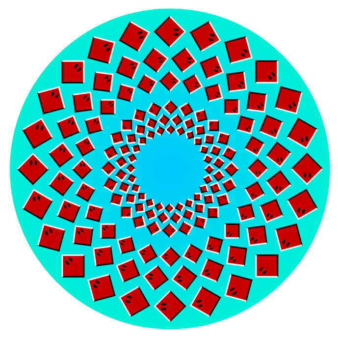 Akiyoshi's illusion pages