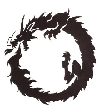 Tribal dragon tattoo pictures and meaning | Tattoo 4 Me
