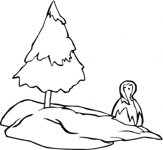 Pine Tree and Snow Doll coloring page | Super Coloring