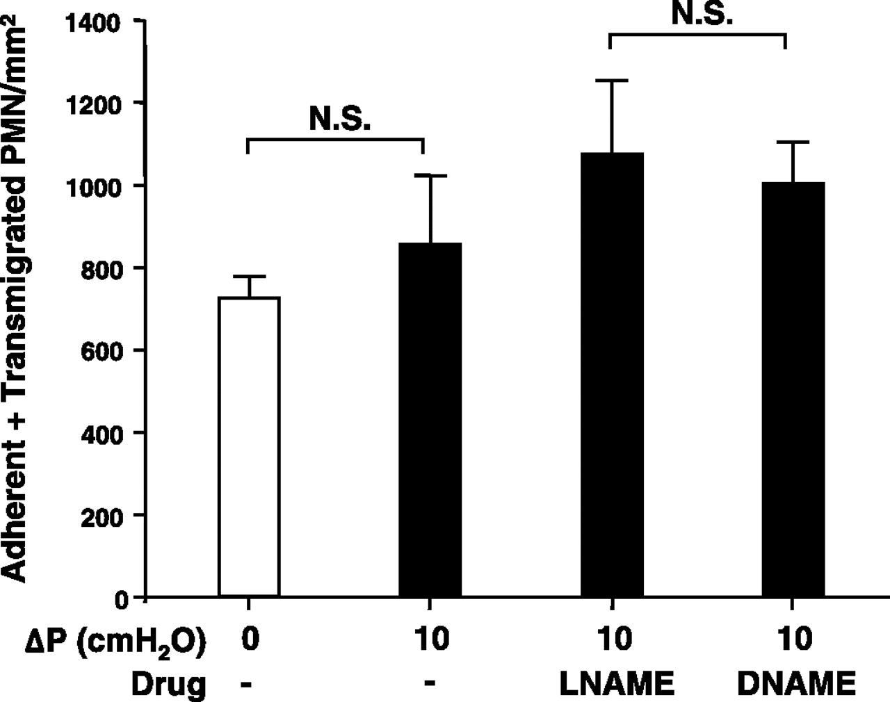 Transendothelial flow inhibits neutrophil transmigration through a ...