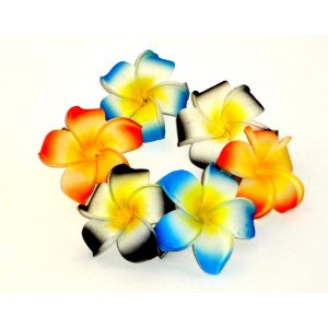 Hawaiian Plumeria Foam Flower Hair Clips Pairs of 3 Colors « The ...