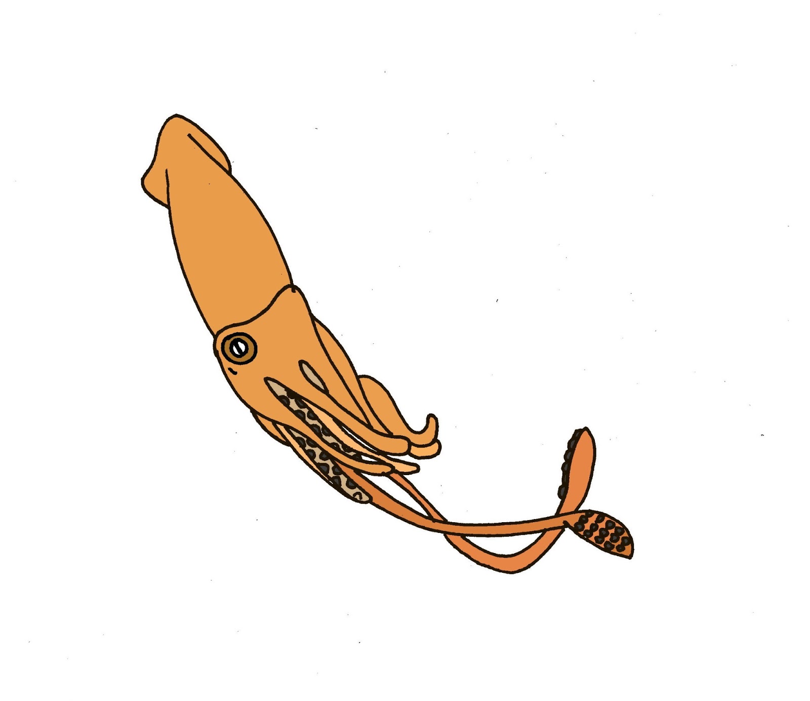 Ocean Fish Clip Art